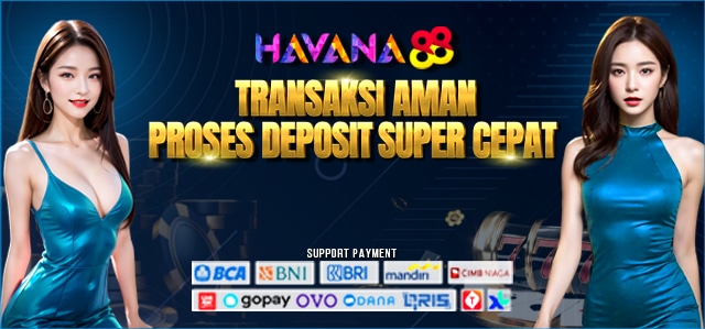 TRANSAKSI E WALLET HAVANA88